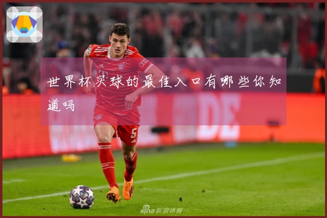 世界杯买球的最佳入口有哪些你知道吗