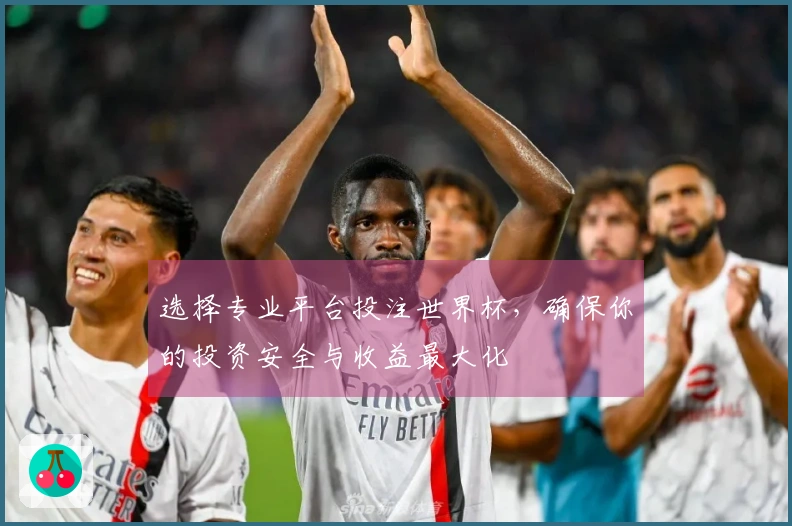 选择专业平台投注世界杯，确保你的投资安全与收益最大化