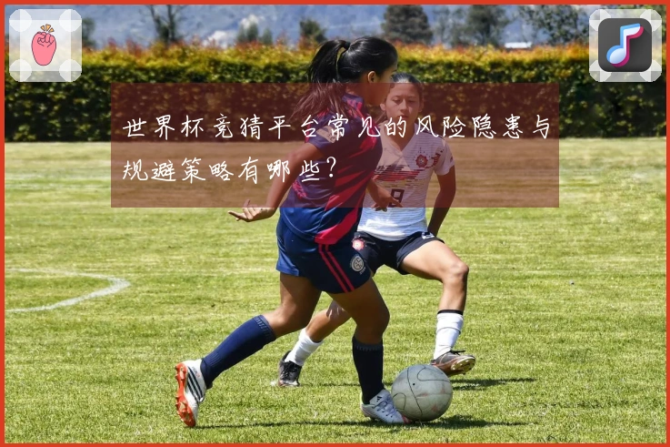 世界杯竞猜平台常见的风险隐患与规避策略有哪些？
