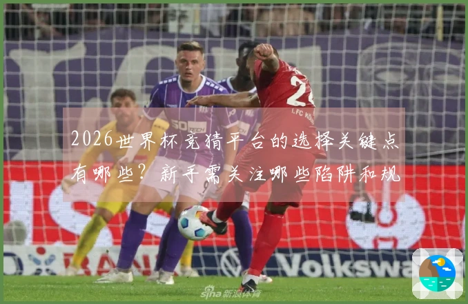 2026世界杯竞猜平台的选择关键点有哪些？新手需关注哪些陷阱和规则？