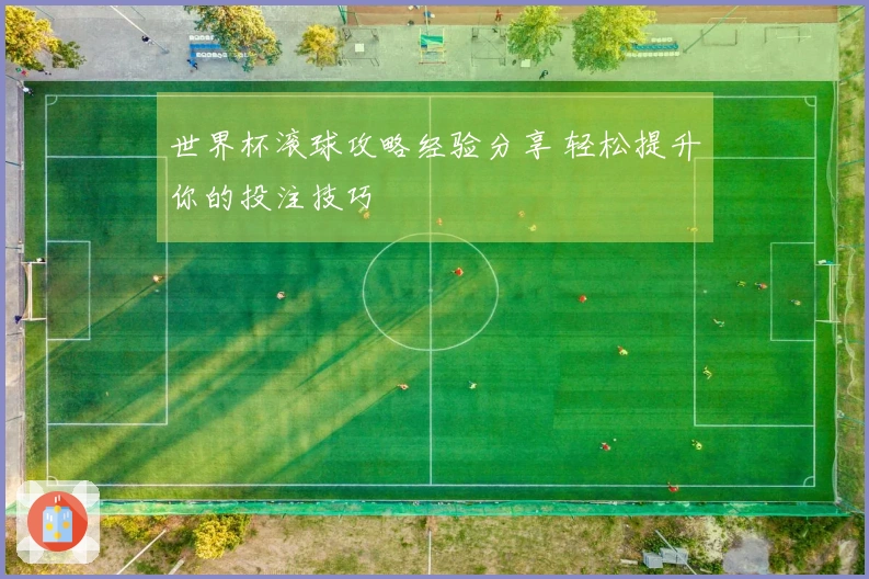 世界杯滚球攻略经验分享 轻松提升你的投注技巧