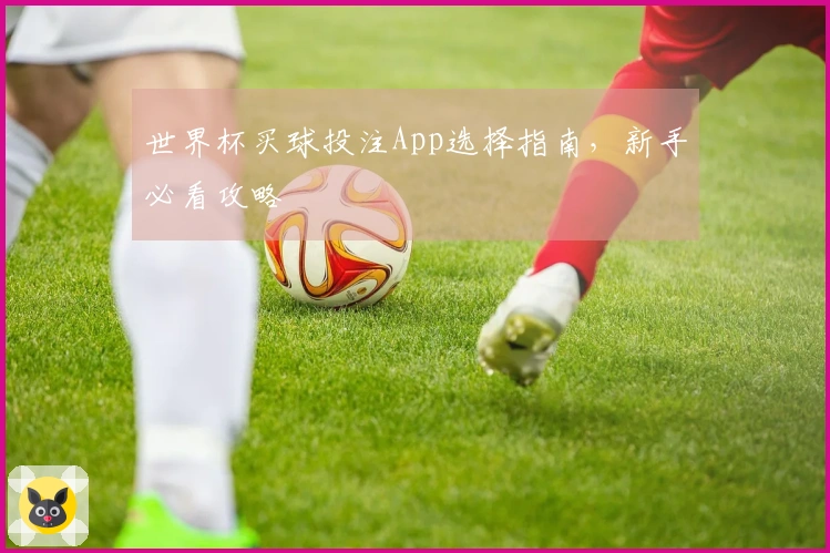 世界杯买球投注App选择指南，新手必看攻略