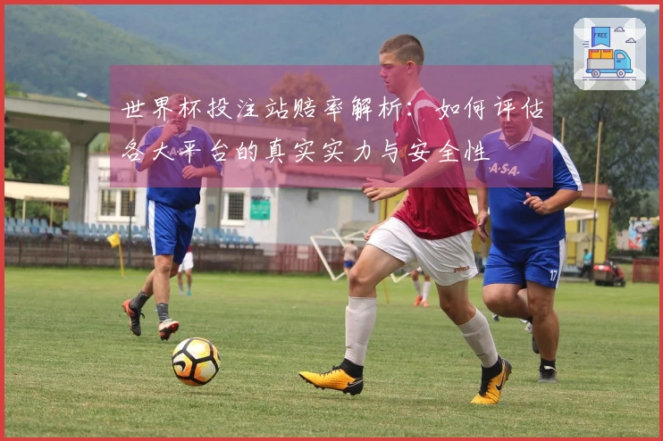 世界杯投注站赔率解析：如何评估各大平台的真实实力与安全性