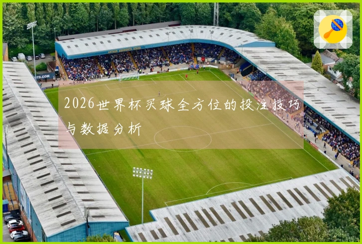 2026世界杯买球全方位的投注技巧与数据分析
