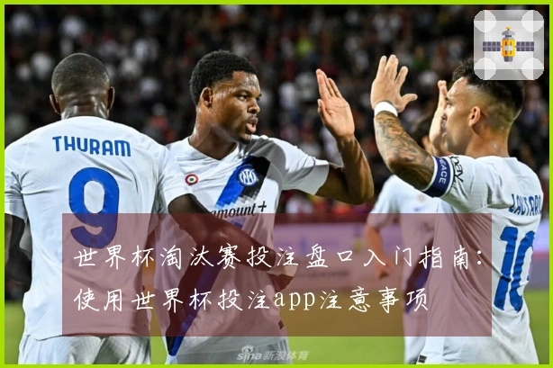 世界杯淘汰赛投注盘口入门指南：使用世界杯投注app注意事项