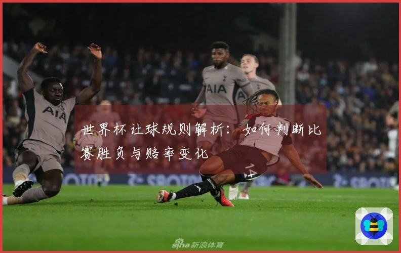世界杯让球规则解析：如何判断比赛胜负与赔率变化