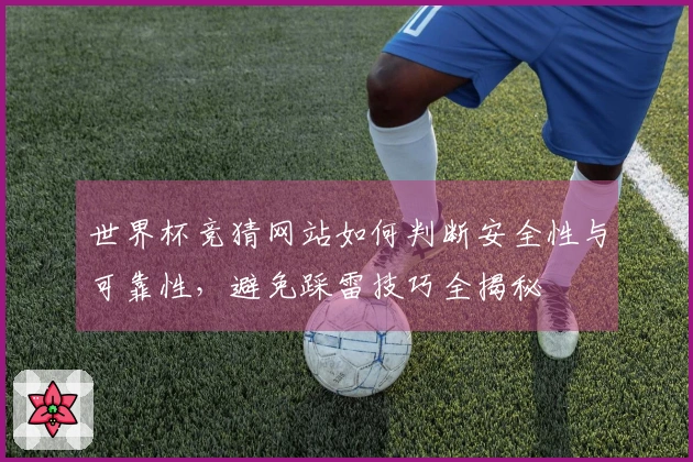 世界杯竞猜网站如何判断安全性与可靠性，避免踩雷技巧全揭秘