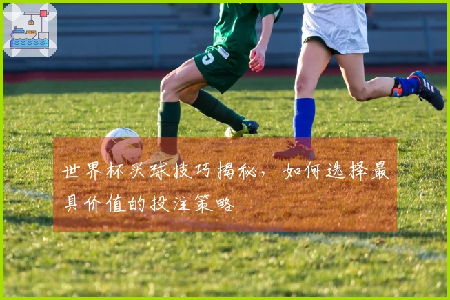世界杯买球技巧揭秘，如何选择最具价值的投注策略