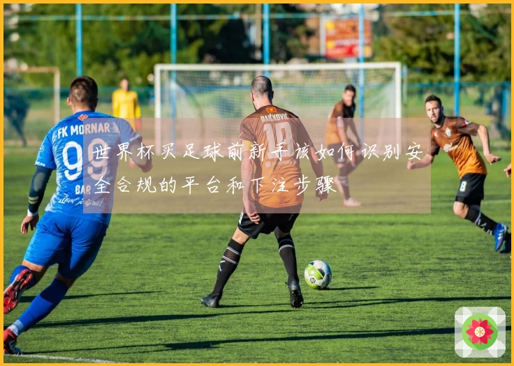 世界杯买足球前新手该如何识别安全合规的平台和下注步骤