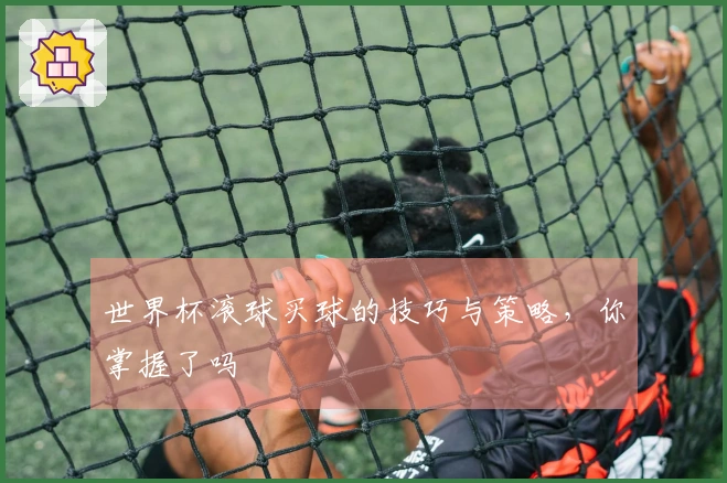 世界杯滚球买球的技巧与策略，你掌握了吗