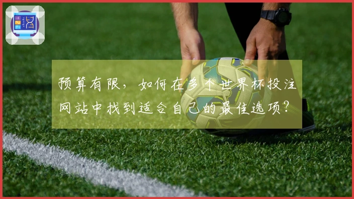预算有限，如何在多个世界杯投注网站中找到适合自己的最佳选项？