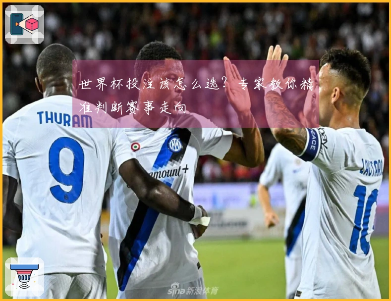 世界杯投注该怎么选？专家教你精准判断赛事走向
