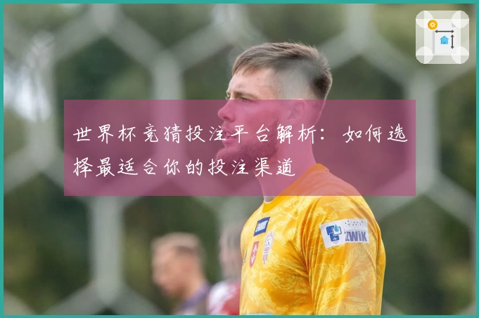 世界杯竞猜投注平台解析：如何选择最适合你的投注渠道