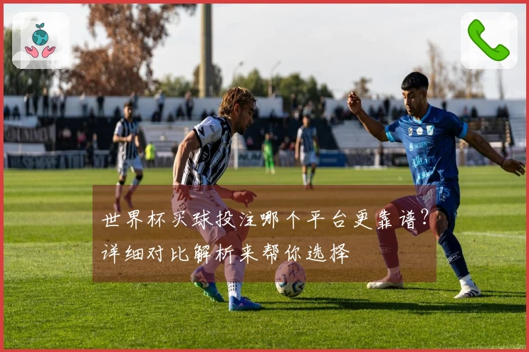 世界杯买球投注哪个平台更靠谱？详细对比解析来帮你选择