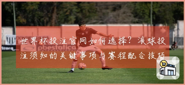 世界杯投注官网如何选择？滚球投注须知的关键事项与赛程配合技巧