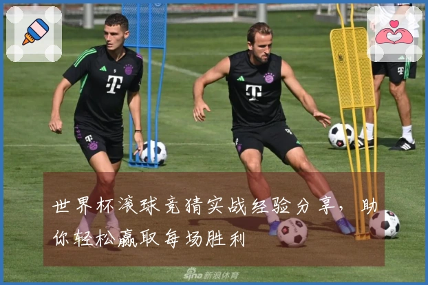 世界杯滚球竞猜实战经验分享，助你轻松赢取每场胜利