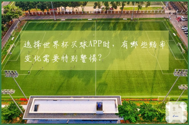 选择世界杯买球APP时，有哪些赔率变化需要特别警惕？