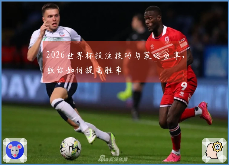 2026世界杯投注技巧与策略分享，教你如何提高胜率