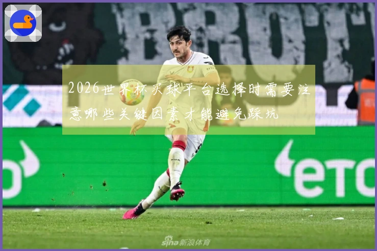2026世界杯买球平台选择时需要注意哪些关键因素才能避免踩坑