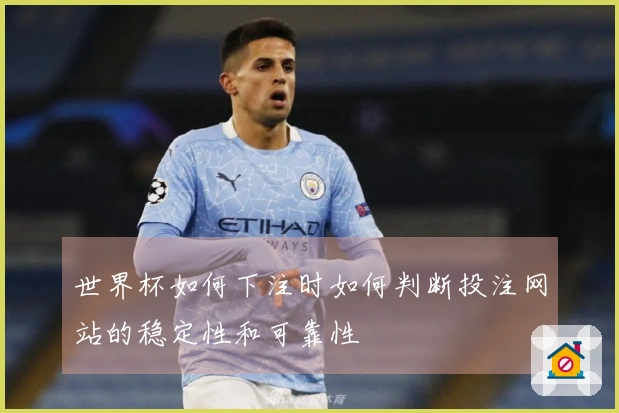 世界杯如何下注时如何判断投注网站的稳定性和可靠性