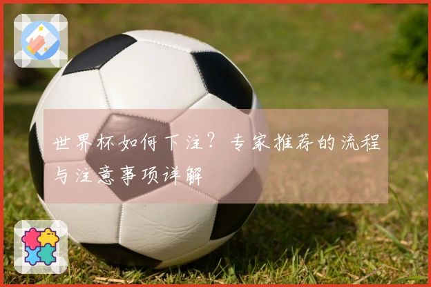 世界杯如何下注？专家推荐的流程与注意事项详解