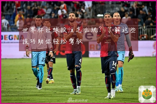 世界杯让球投注怎么玩？了解这些技巧助你轻松驾驭