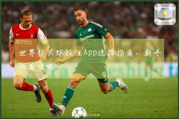 世界杯买球投注App选择指南，新手必看攻略