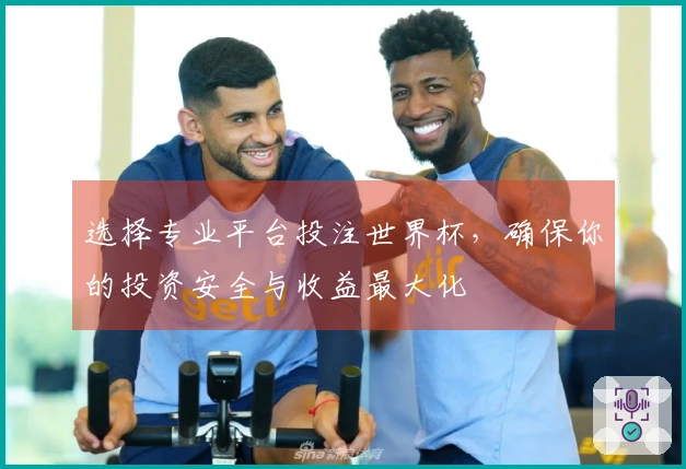 选择专业平台投注世界杯，确保你的投资安全与收益最大化