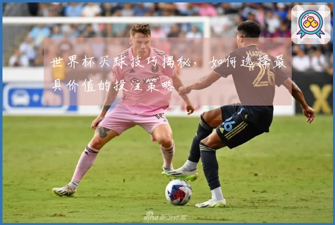 世界杯买球技巧揭秘，如何选择最具价值的投注策略