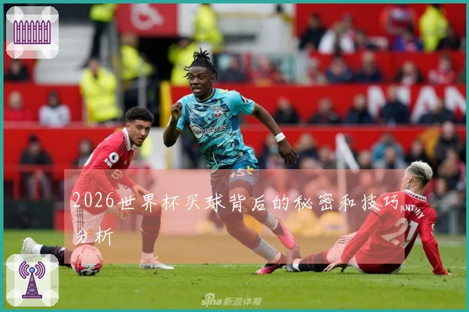 2026世界杯买球背后的秘密和技巧分析
