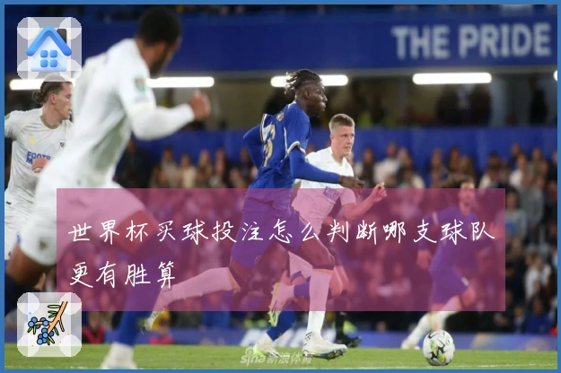 世界杯买球投注怎么判断哪支球队更有胜算