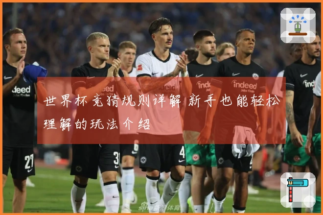 世界杯竞猜规则详解 新手也能轻松理解的玩法介绍